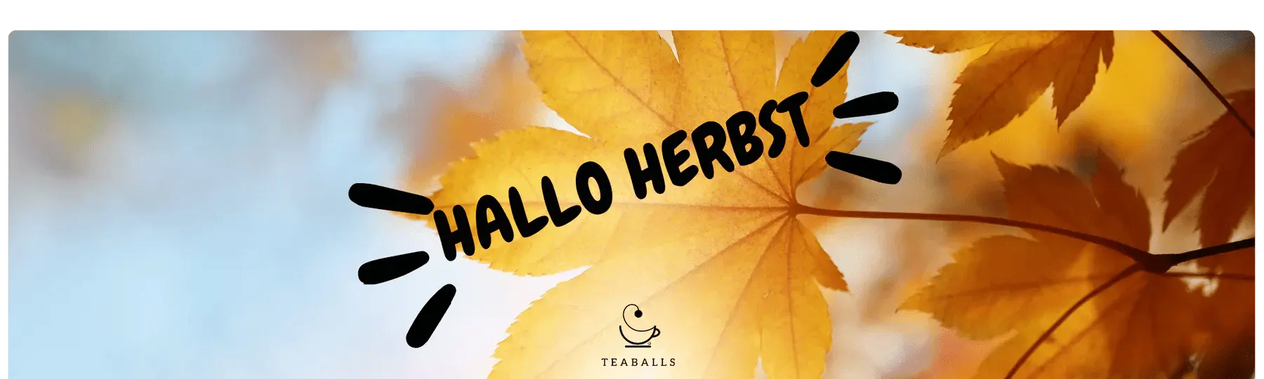 Immunboost - TEABALLS GmbH